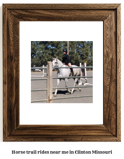 horse trail rides near me in Clinton, Missouri